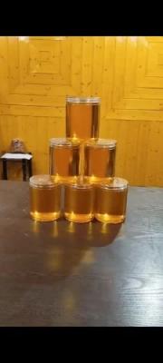 Apricot Oil